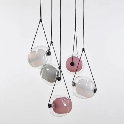 Capsula